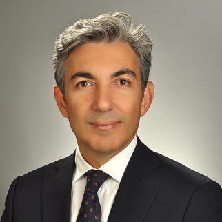 Prof. Dr. Tolga AKKAYA